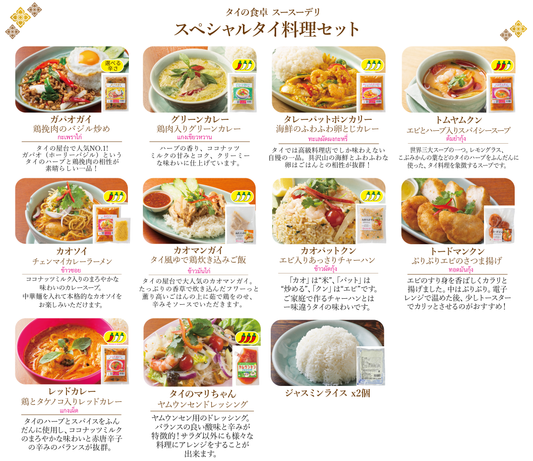 【eギフト】スペシャルタイ料理セット【10種13個】