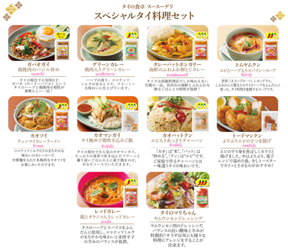 スペシャルタイ料理セット【3個】