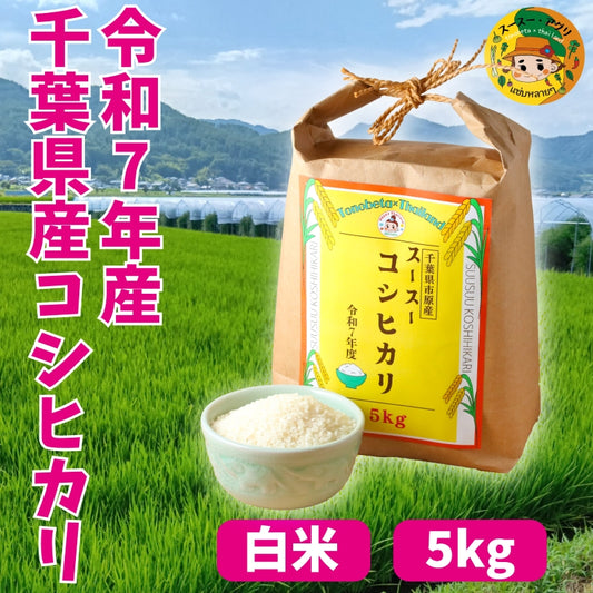 令和7年産 千葉県市原市産　スースーコシヒカリ 5kg