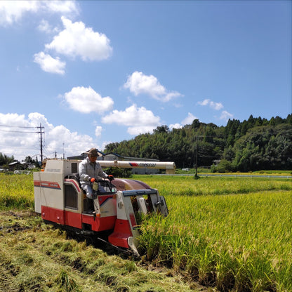 令和7年産 千葉県市原市産　スースーコシヒカリ 5kg