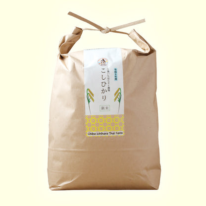 新米令和8年産 千葉県市原市産　スースーコシヒカリ 10kg【送料無料】
