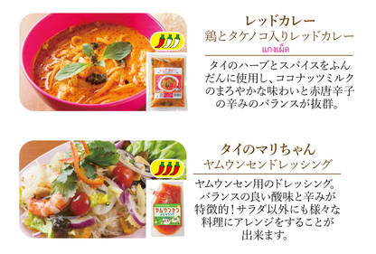 【e夏ギフト】スペシャルタイ料理セット【10種13個】※送料無料